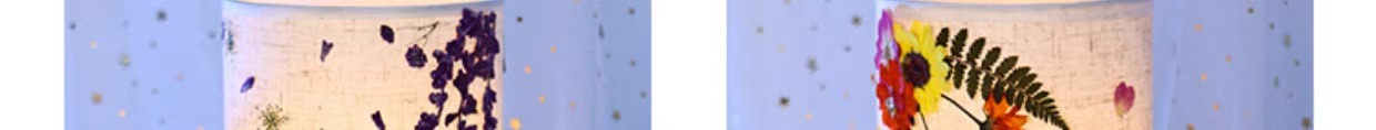 1747808566117995.jpg