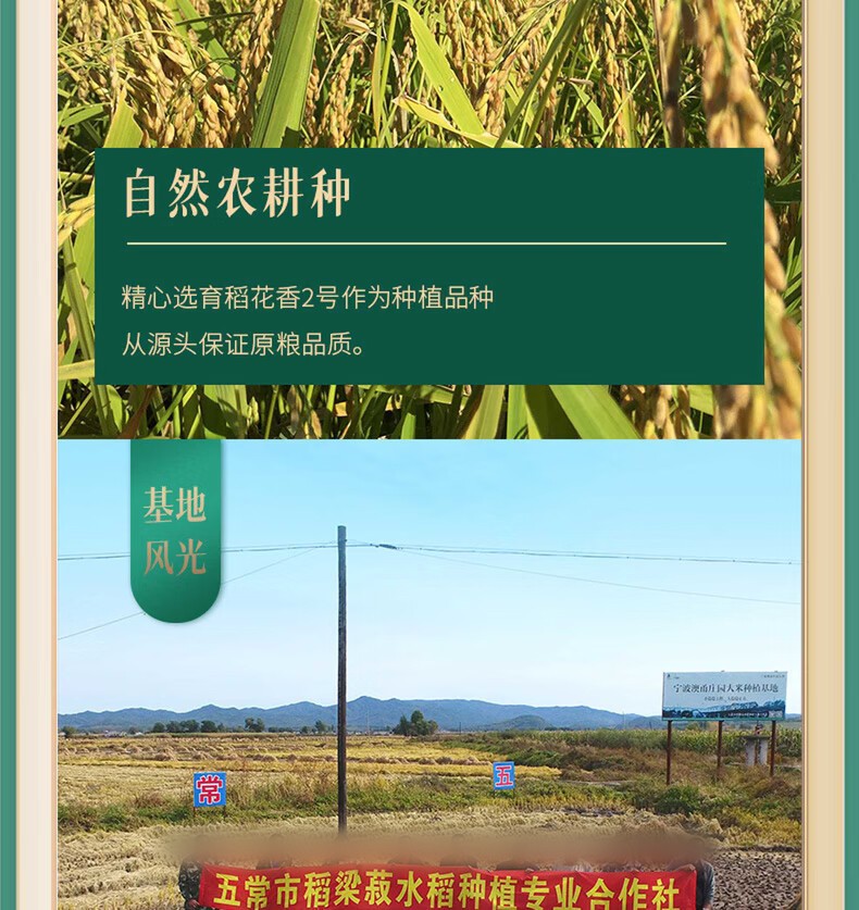 麻花卷膜随机发.jpg