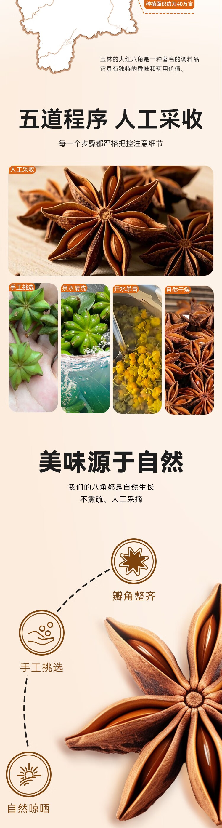 详情-02.jpg