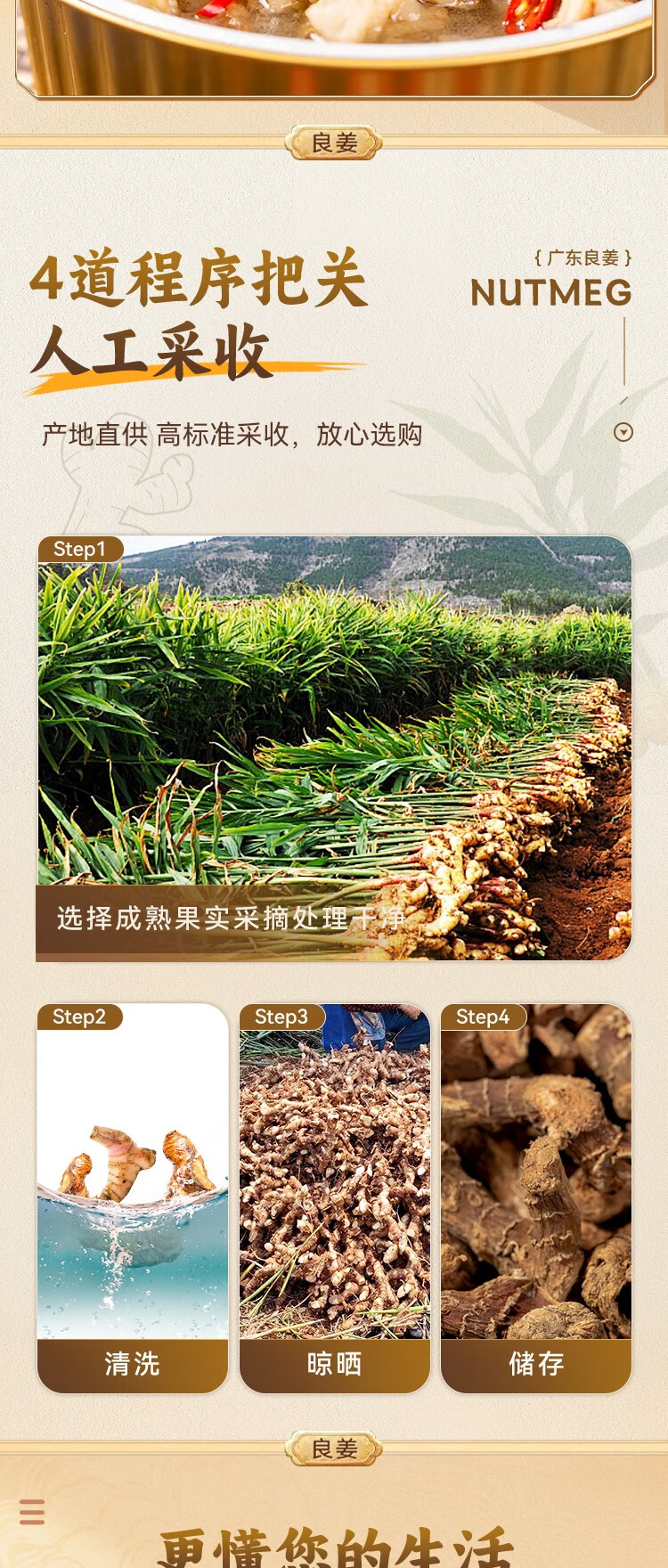 详情-04.jpg
