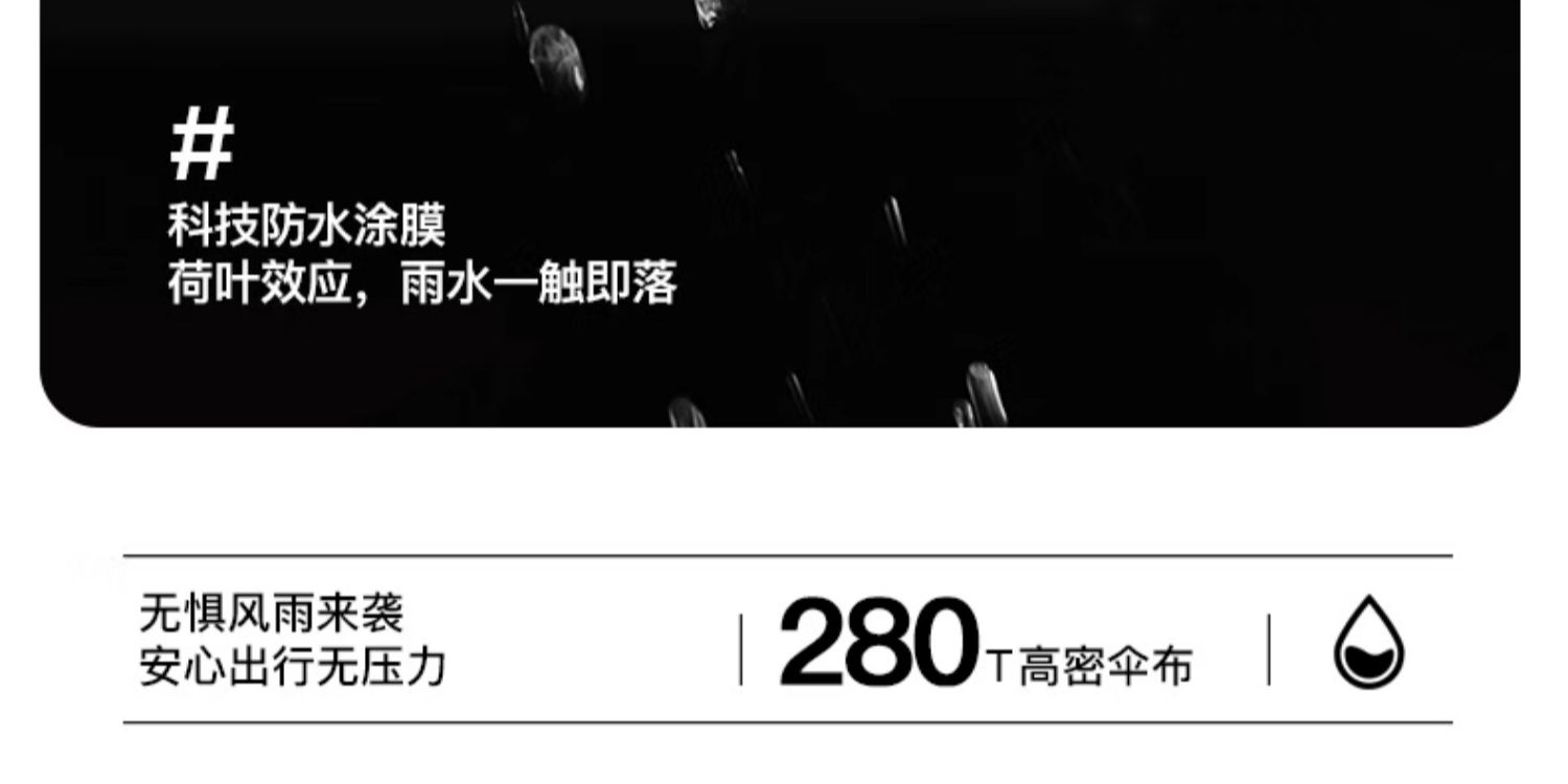 1738719861768506.jpg