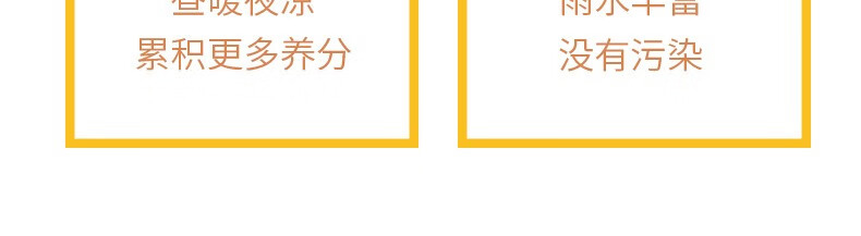 详情-05_011.jpg