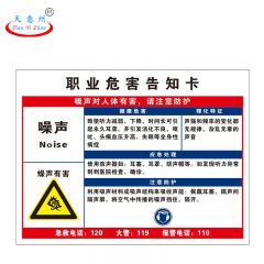 天意州 PVC标识牌 40*50cm 职业危害告知卡-噪声 TYZ-250099 块