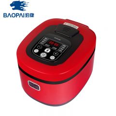 豹牌（BAOPAI） BP-WB138多功能电饭煲 24小时智能定时预约 5L大容量 一键开盖