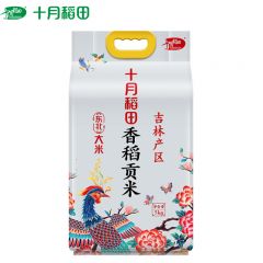 十月稻田 香稻贡米5kg 10斤大米 东北大米香米粳米做饭煮粥包棕子做米花米糕