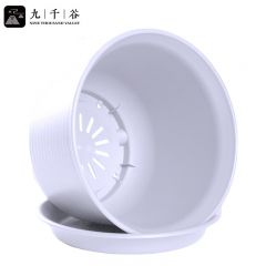 九千谷 树脂花盆仿陶瓷矮款白色2个装 多肉种植花盆创意加厚室内绿植绿萝发财树盆栽 口径15cm小号含托3972