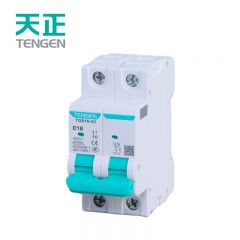 天正电气（TENGEN）TGB1N-63 2P C（祥云3.0）系列 6kA 小型断路器 空气开关小型空开 总闸总开关 AC400V - 40A 2P 6kA C 现货