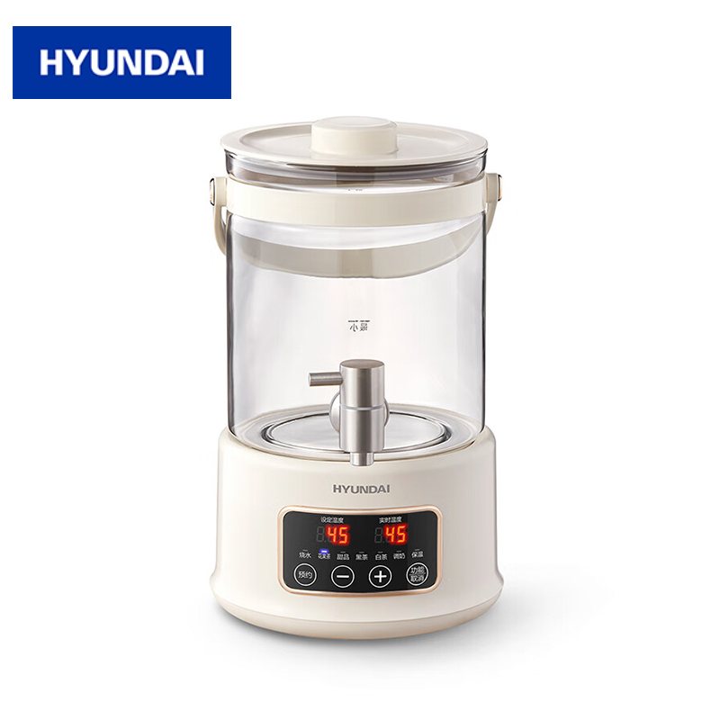 HYUNDAI RC-Z825D2 养生壶2.5升大容量多功能烧水壶恒温电热水壶 玻璃花茶煮茶壶泡茶器 白色
