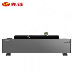 先锋（Singfun） 踢脚线取暖器电暖器家用卧室客厅多重保护电暖气对流式 4级防水【居浴两用】加热器 DTJ-T11R