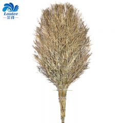 兰诗（LAUTEE） DM-214 环卫竹扫把 清洁大扫把 竹柄大号5斤款1个装