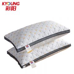彩阳 白色立体满天星网边羽丝绒枕一对装 48*74cm*2