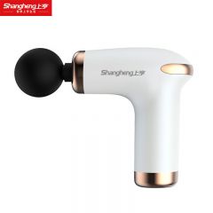 上亨（shangheng） 迷你筋膜枪健身电动冲击枪肌肉放松器按摩器健身放松仪按摩枪 /typec充电 珍珠白【六档+带4头】SHZH-JKJ004