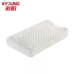 彩阳 白色慢回弹记忆棉枕头 单只装 30*50cm