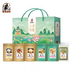塞翁福 乐享怡夏礼盒865克 防暑降温套餐绿豆汤银耳粥原料6袋独立包装 盒