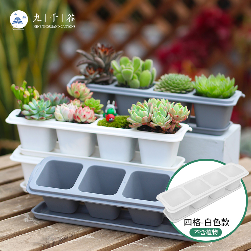 九千谷 多肉花盆多肉植物花盆创意室内组合盆栽绿植肉肉植物小花盆（不含绿植）四格4696