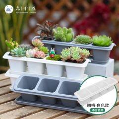 九千谷 多肉花盆多肉植物花盆创意室内组合盆栽绿植肉肉植物小花盆（不含绿植）四格4696