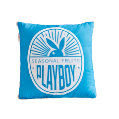 花花公子（PLAYBOY） 专版抱枕被40*40cm