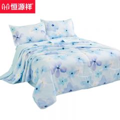 恒源祥 HYX307BZ兰颜A类可水洗抗菌柔软夏凉被2.8斤 200*230cm
