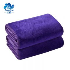兰诗（LAUTEE） 加厚纤维毛巾定制毛巾吸水巾紫色30*60cm10条装 DA1079
