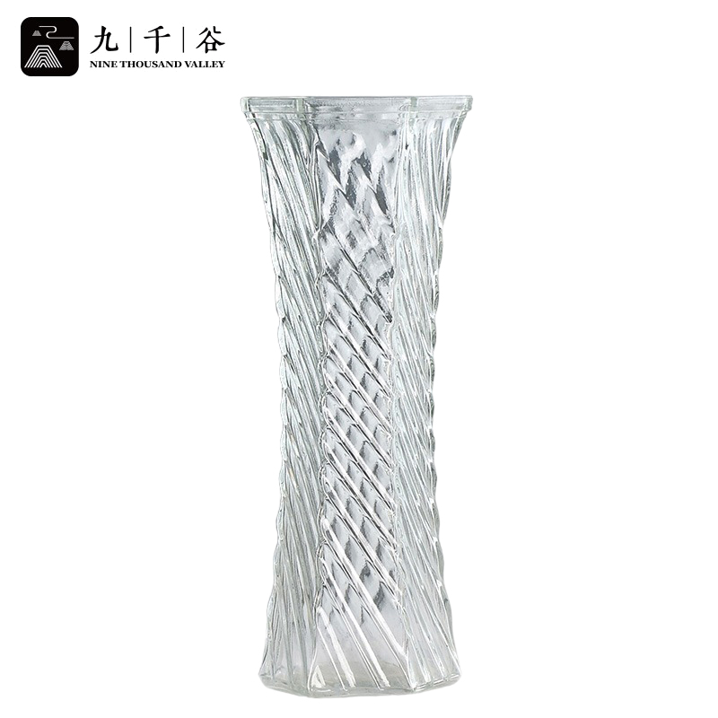 九千谷 花瓶玻璃富贵竹花瓶 插花客厅桌面摆件花瓶水培植物杆状百合鲜花透明玻璃瓶 款式随机发4207