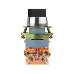 德力西电气（DELIXI ELECTRIC） 按钮开关；LAY8-22X 红 二位置