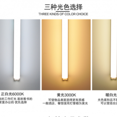 雷士（NVC）   T5一体化支架灯1米12W-6500K