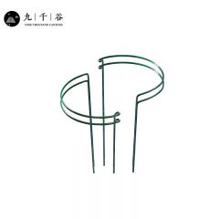 九千谷 植物支撑架支撑杆支架园艺花架阳台花园绣球月季爬藤聚拢护叶铁艺花架 半圆35*70CM 2对装8373