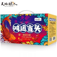 天地粮人 鸿运当头 精品十二种 杂粮礼盒4.2kg 五谷杂粮粗粮粥料送礼礼品福利年货礼包
