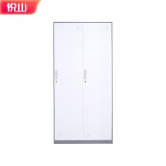 悦山 更衣柜员工柜带锁储物柜铁皮衣柜 二门更衣柜900*500*1850