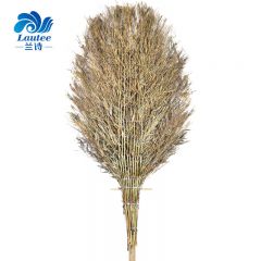 兰诗（LAUTEE）环卫竹扫把 清洁大扫把 木柄大号5斤款-1个装 DM-215