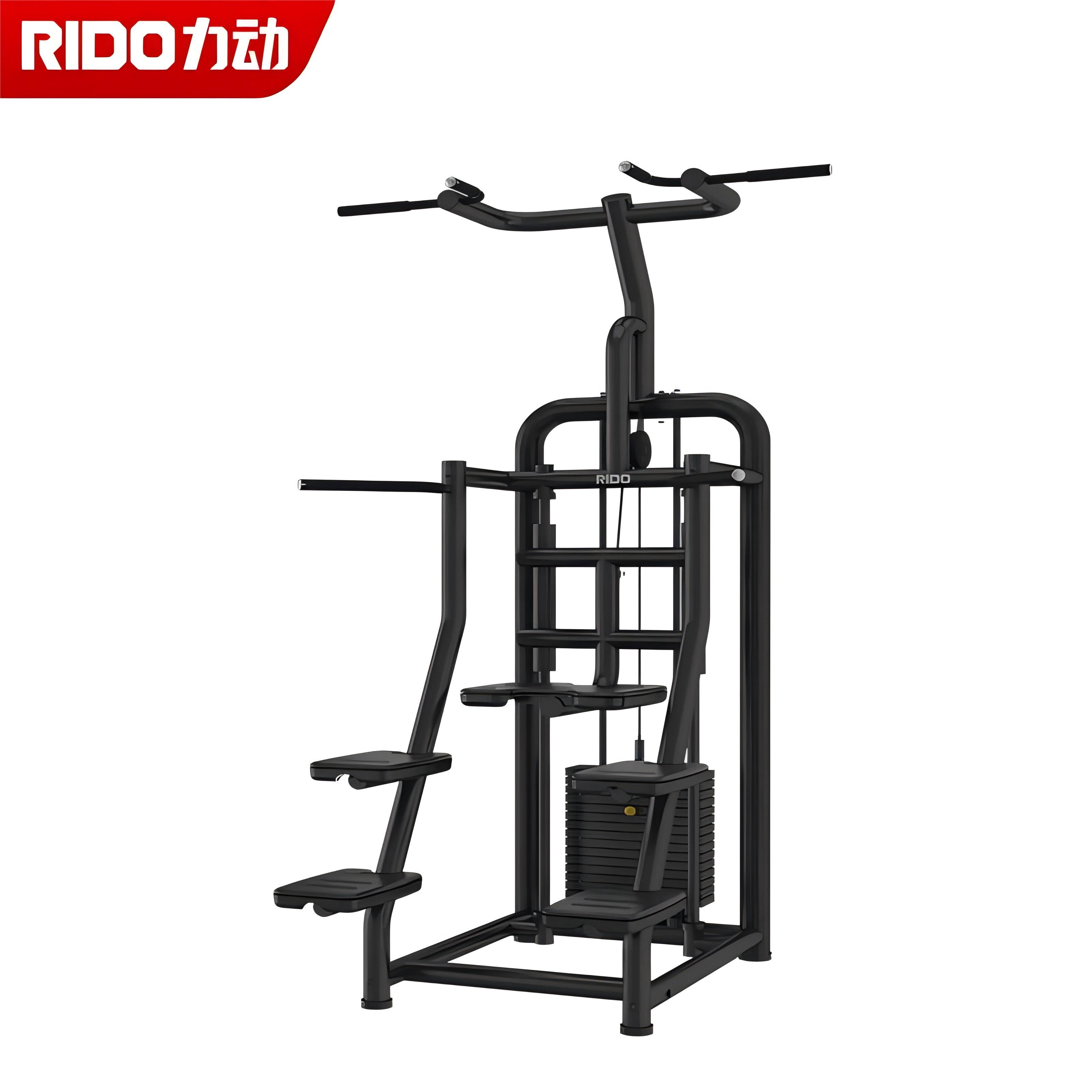 力动（RIDO）助力式引体向上下拉器辅助双杠综合训练器商用健身房健身器材