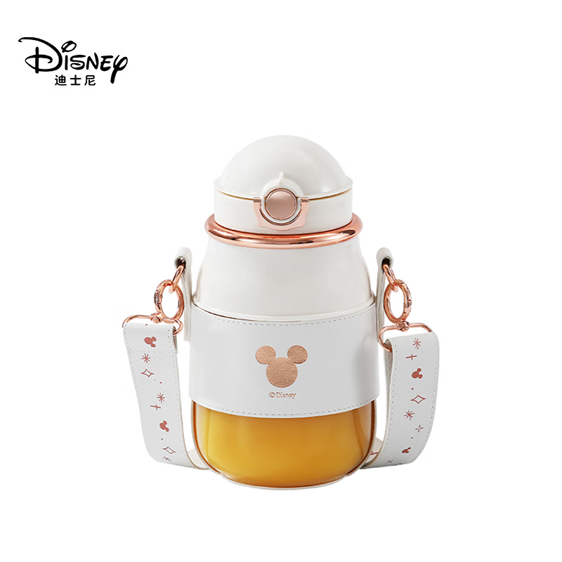迪士尼(DISNEY)  榨汁机 小型多功能搅拌机 家用便携迷你宝宝料理机 DS-0810GZ （米奇白）