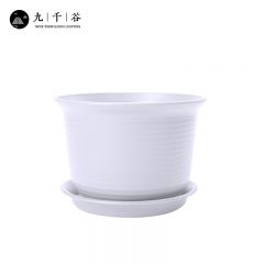 九千谷 3996创意加厚室内绿植绿萝发财树盆栽多肉种植花盆树脂花盆仿陶瓷矮款白色2个装口径20.7cm中号含托