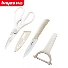 拜格（BAYCO） 水果刀三件套不锈钢家用瓜果刀厨房剪刀削皮刀具组合套装 BD31410
