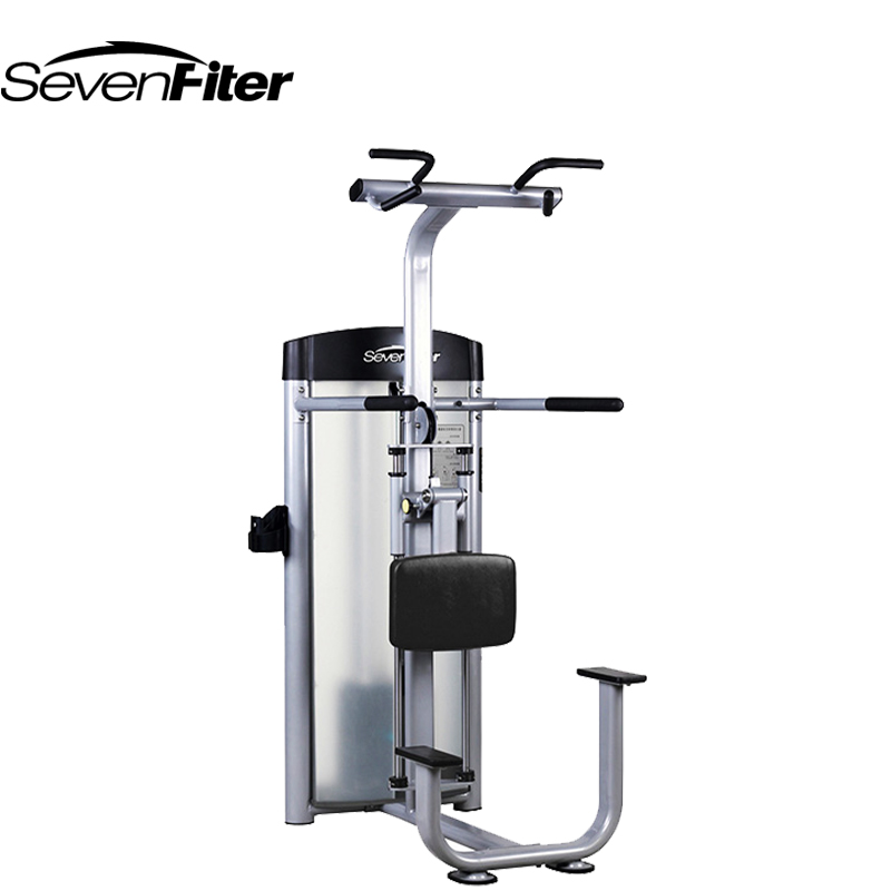 施菲特(SevenFiter) 助力式单双杠训练器