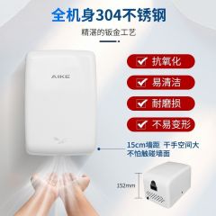 艾克（AIKE）  不锈钢干手器【AK2650白色磨砂】1210W/UV杀菌/小型
