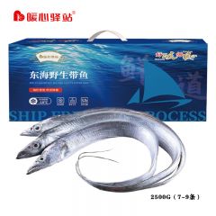 暖心驿站 东海带鱼礼盒 2500g（7-9条） 生鲜海鲜节日家庭聚餐优选冷冻水产鱼类烹饪食材福利送礼品