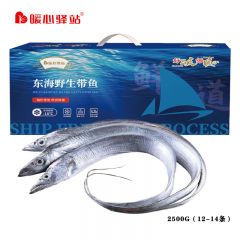 暖心驿站 东海带鱼礼盒 2500g（12-15条） 生鲜海鲜节日家庭聚餐优选冷冻水产鱼类烹饪食材福利送礼品