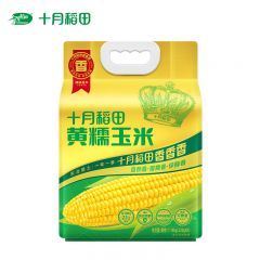 十月稻田 黄糯玉米1.76kg 220g*8支 新玉米 东北甜糯玉米棒 杂粮礼包 真空包装