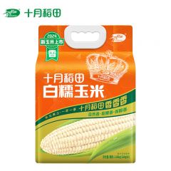 十月稻田（SHIYUEDAOTIAN） 白糯玉米2.08kg（260g*8根） 东北糯玉米棒即食粗粮代餐苞米