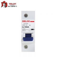 德力西电气（DELIXI ELECTRIC） HDBE-125大电流断路器；HDBE-125 1P C型 100A