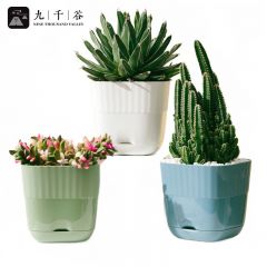 九千谷 花盆欧式简约有栖花盆混色大号3个装 栀子花绿萝多肉绣球蔷薇月季室内办公室简约花盆5754