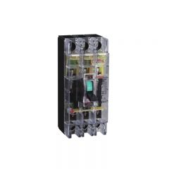 德力西电气（DELIXI ELECTRIC） 塑壳断路器DZ20Y-225T/3300 160A透明无接线铜排
