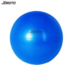 捷瑞特（JOROTO） 加厚加宽专业运动健身训练垫子球瑜珈球BT101