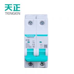 天正电气（TENGEN）TGB1N-63 2P C40（祥云3.0）系列 6kA 小型断路器 空气开关小型空开