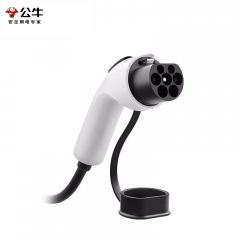 公牛（BULL） D2-A16C 新能源汽车220V安全便携充电枪【标准款全长5米】