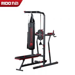 力动（RIDO） FITNESS引体向上器室内单双杠TG30/台