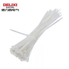 德力西电气 CDS扎带 自锁式尼龙扎带 8×300白色优质型（250条） DHACDS80300WN