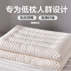 南极人（Nanjiren） NJZT281-针织水立方超柔低枕芯-白色45*70cm