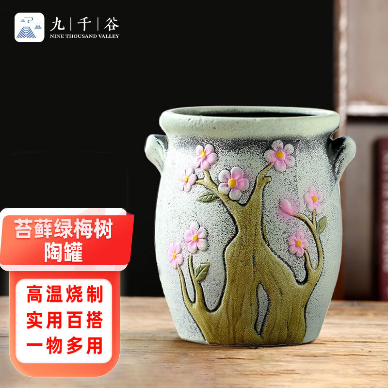 九千谷 9577花盆陶瓷大号手彩兰花蝴蝶兰绿萝家用多肉花盆桌面苔藓绿梅树开花